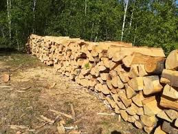 Măsuri pentru rezolvarea crizei lemnului de foc 8095