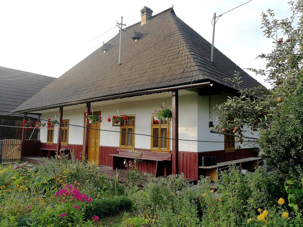 Moșul cel blând din împărăția lemnului 7920