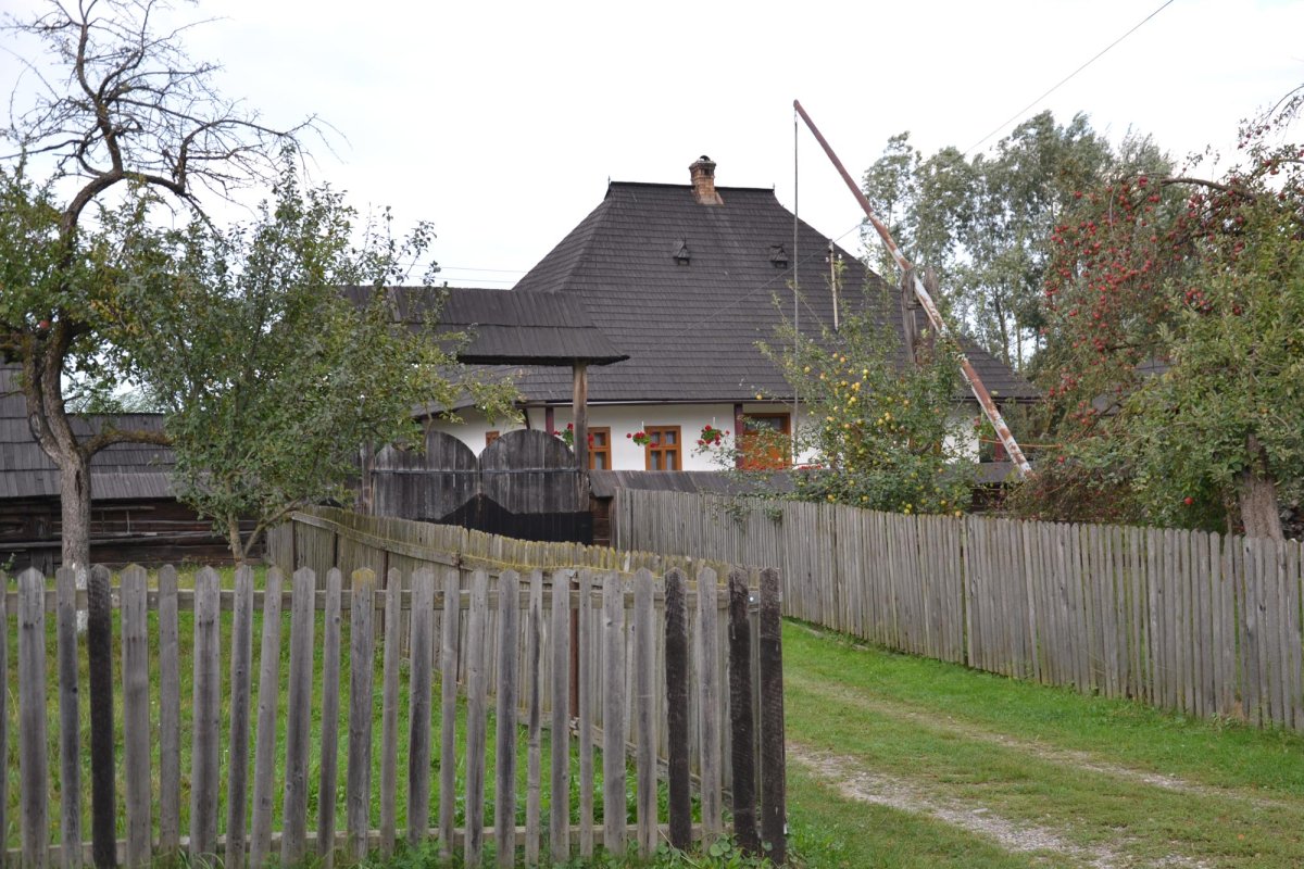 Moșul cel blând din împărăția lemnului 7925