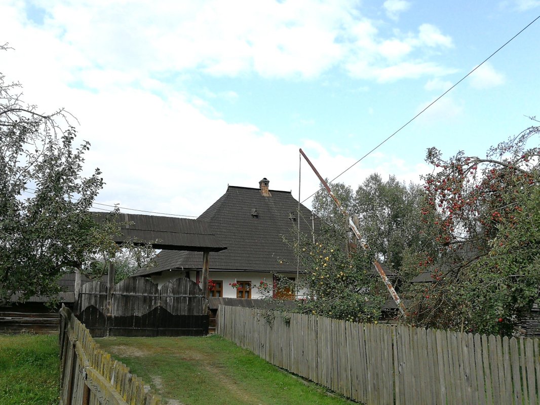 Moșul cel blând din împărăția lemnului 7927