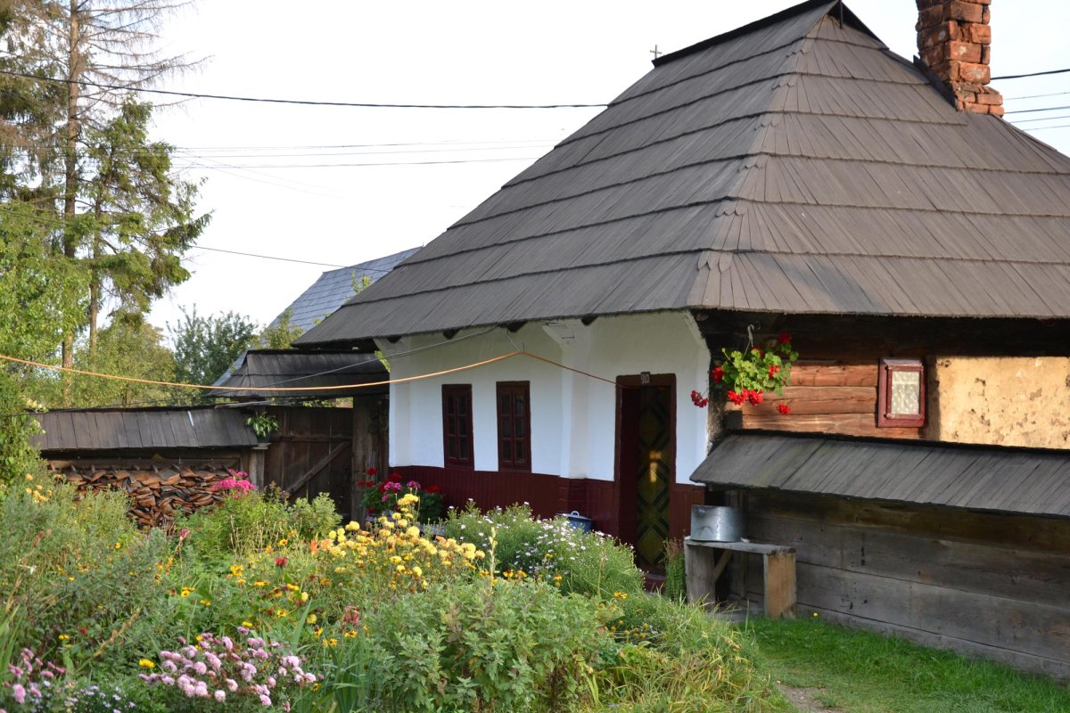 Moșul cel blând din împărăția lemnului 7931