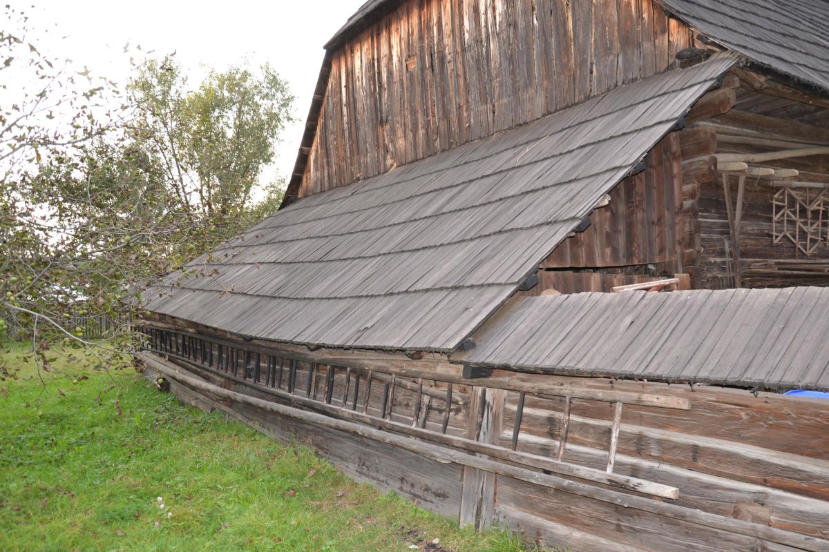 Moșul cel blând din împărăția lemnului 7936