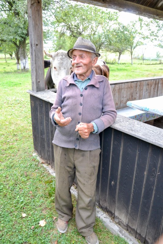 Moșul cel blând din împărăția lemnului 7937