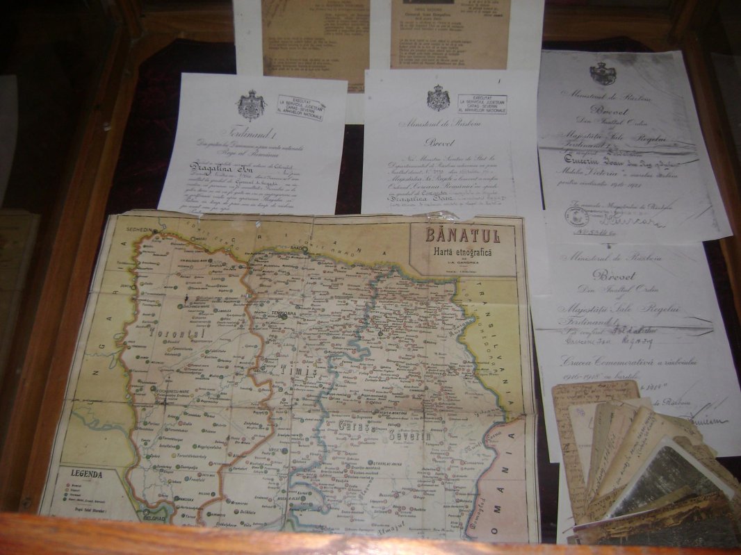 Expoziție dedicată Zilei Armatei la Lugoj 7831