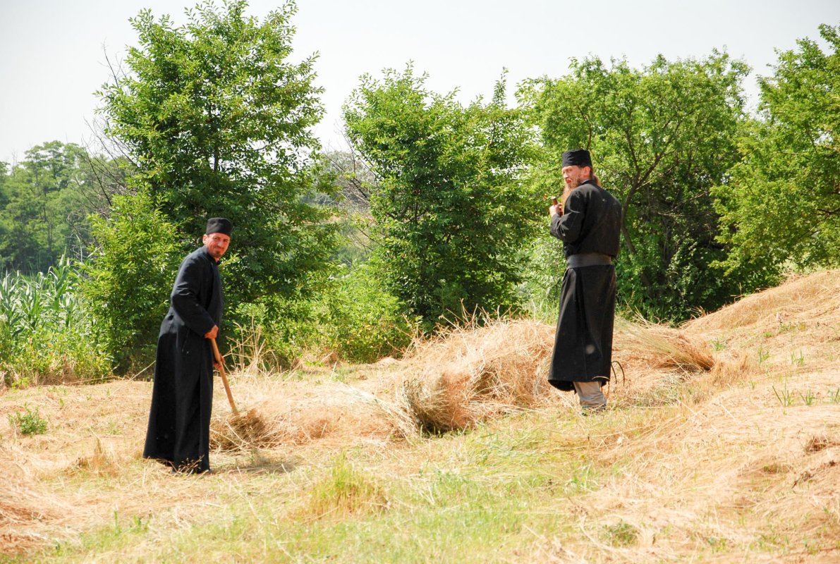 Discernământ, libertate și risc 7129