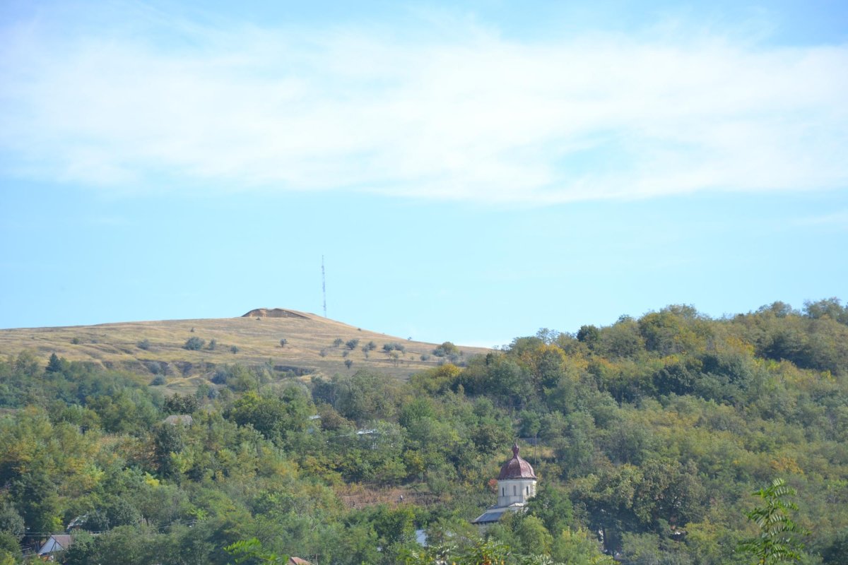 Tiparele lumii vechi a Zăpodenilor 7093