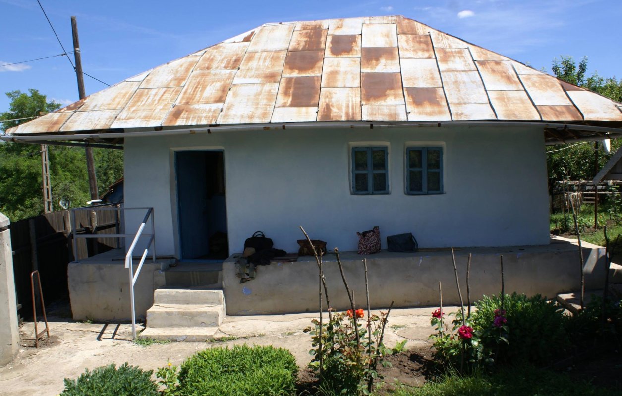 Tiparele lumii vechi a Zăpodenilor 7102