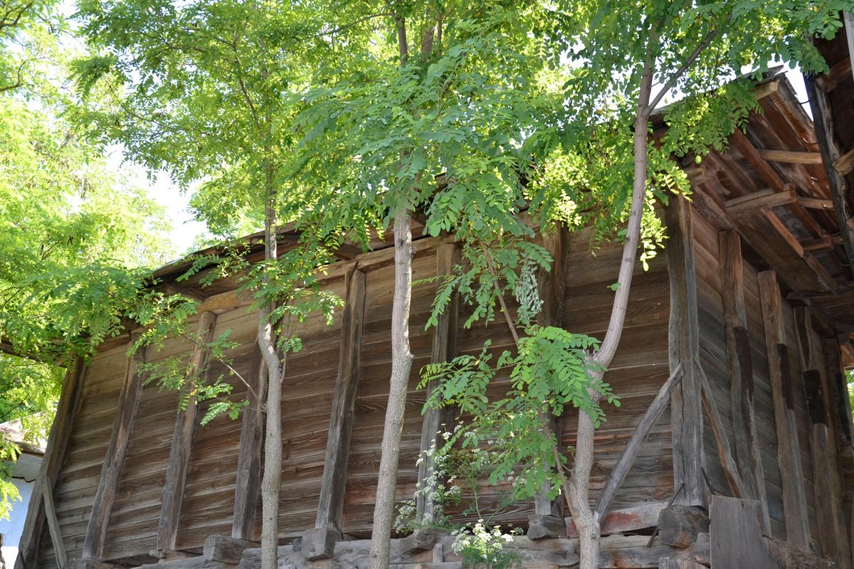 Tiparele lumii vechi a Zăpodenilor 7105