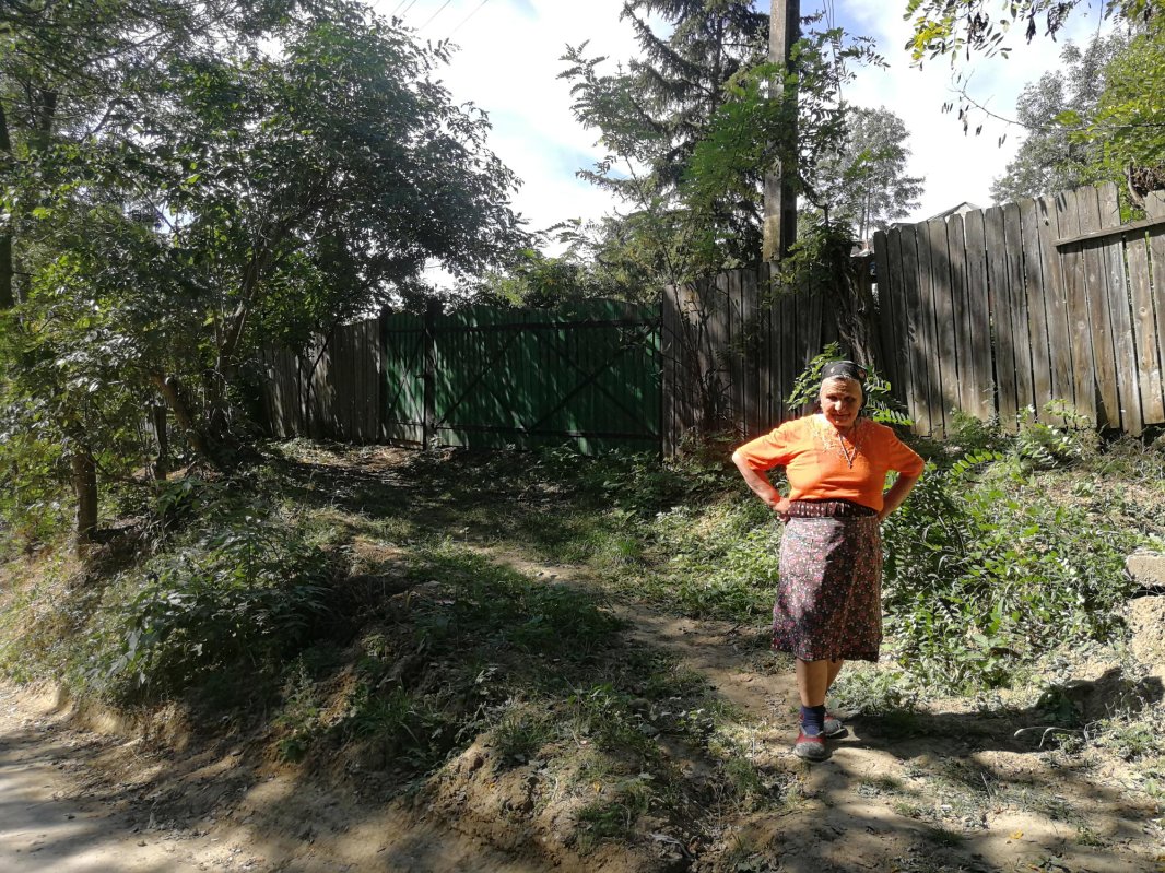 Tiparele lumii vechi a Zăpodenilor 7108