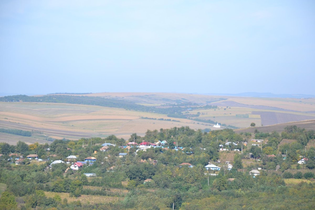 Tiparele lumii vechi a Zăpodenilor 7109