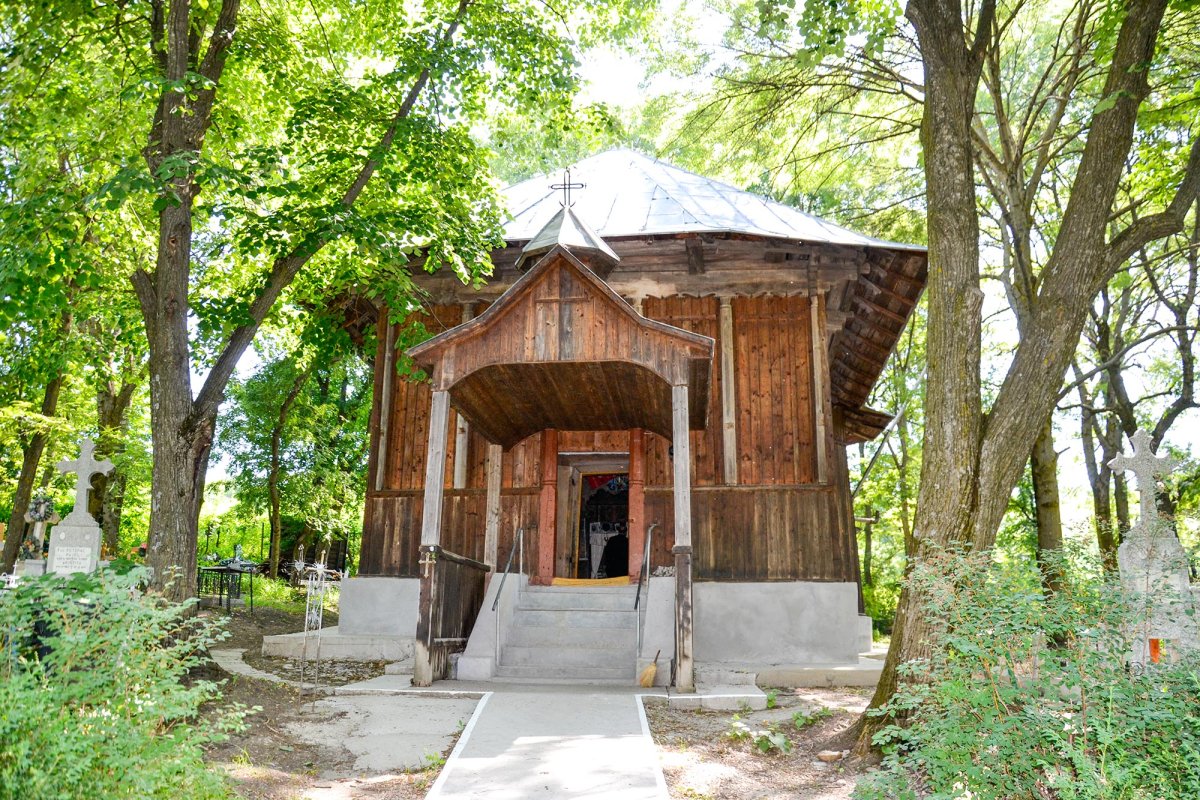 Tiparele lumii vechi a Zăpodenilor 7113