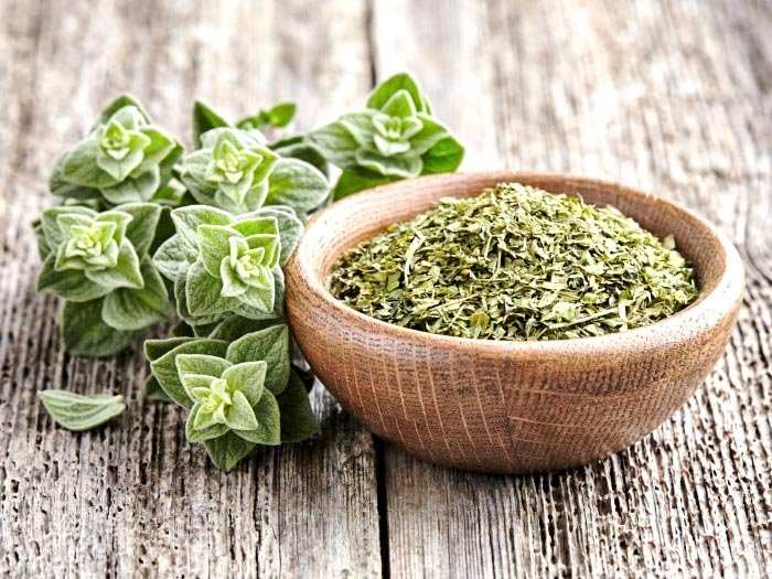 Oregano ajută la prevenirea și combaterea infecțiilor 6956