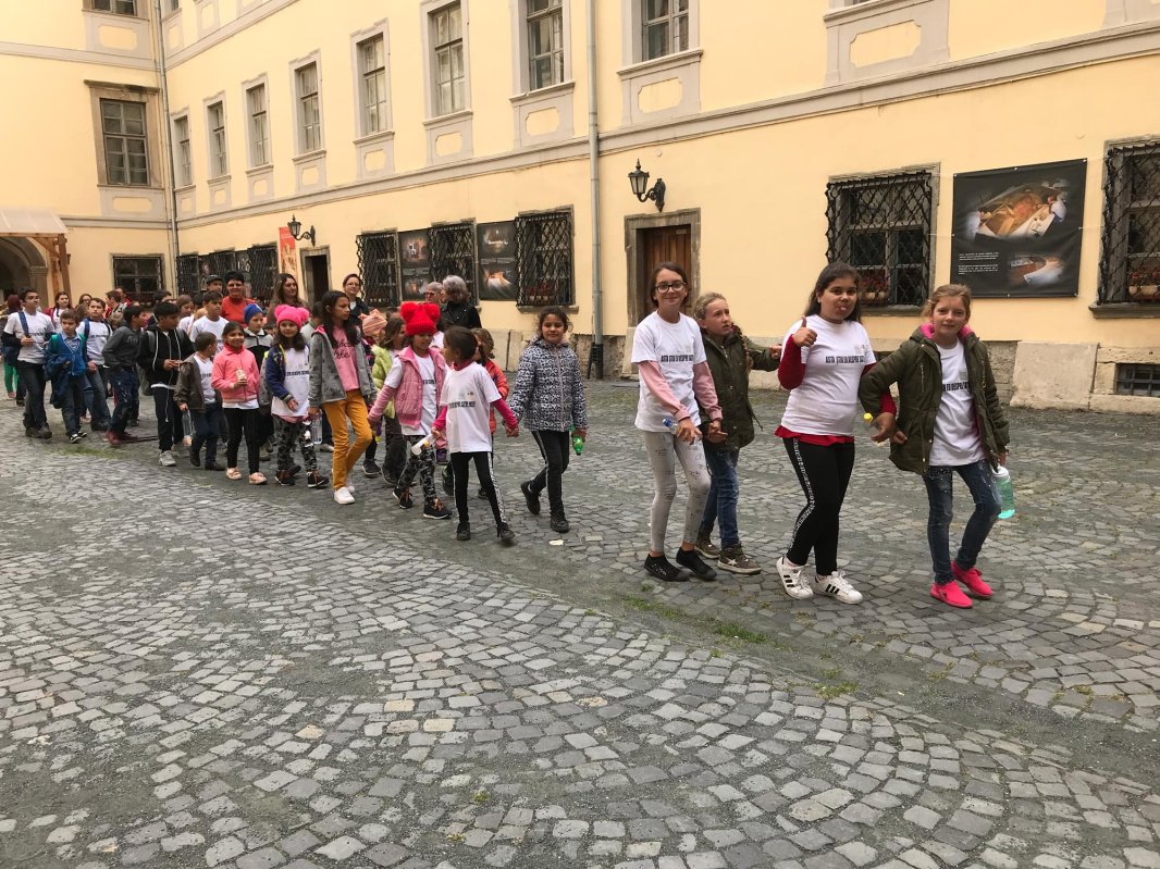 Proiect de implicare culturală, educațională și socială, la Muzeul ASTRA 6692