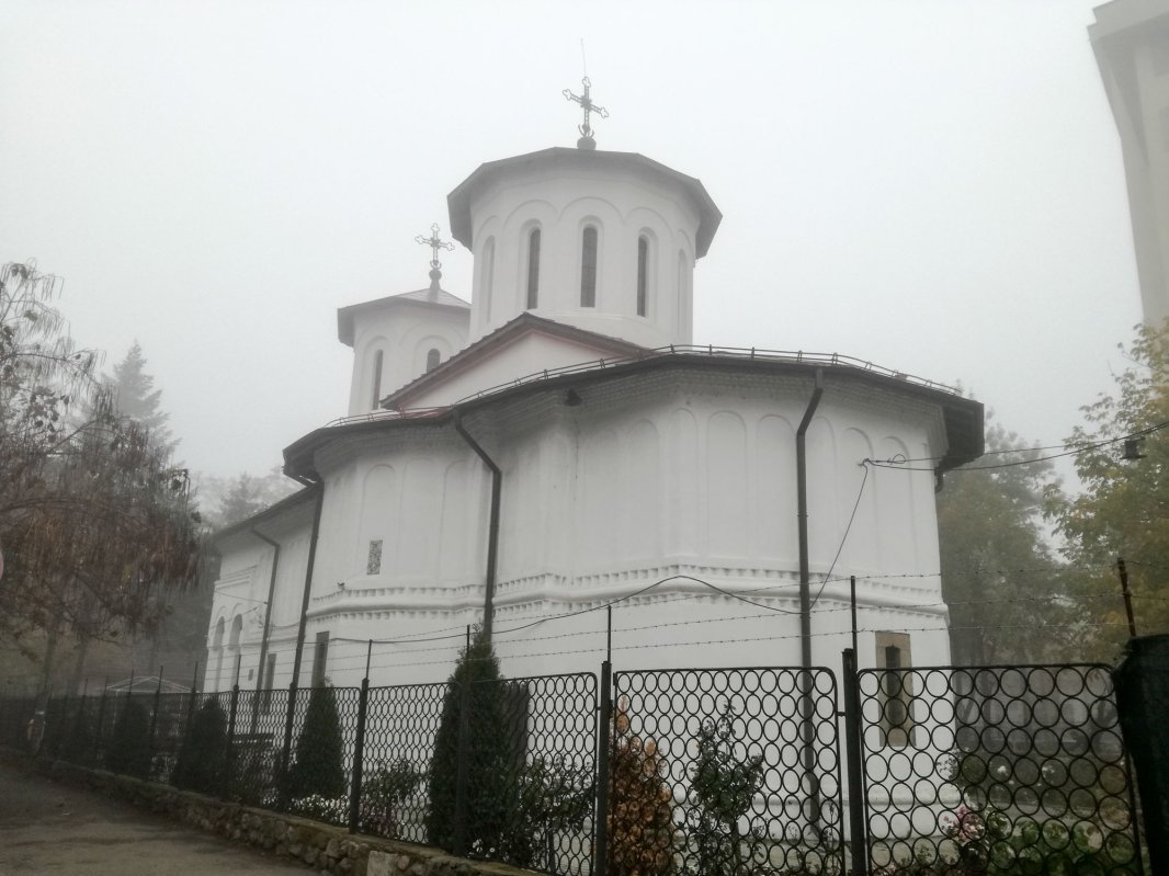 Cinstirea Sfântului Mina şi a Sfântului Ioan cel Milostiv în Bănie 6444