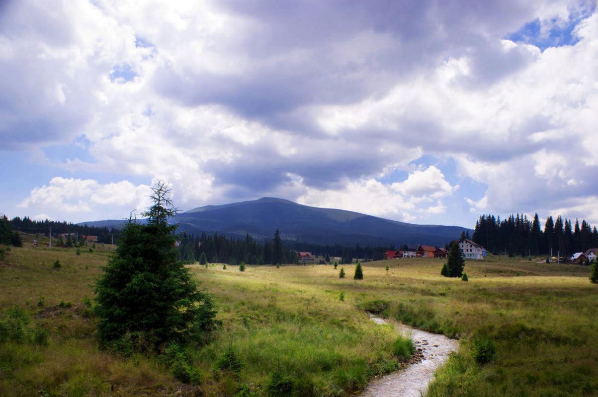 Întâlniri de suflet 6408