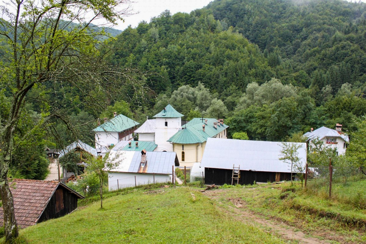 Sărbătoarea Sfântului Antonie de la Iezer în Mitropolia Olteniei 5599