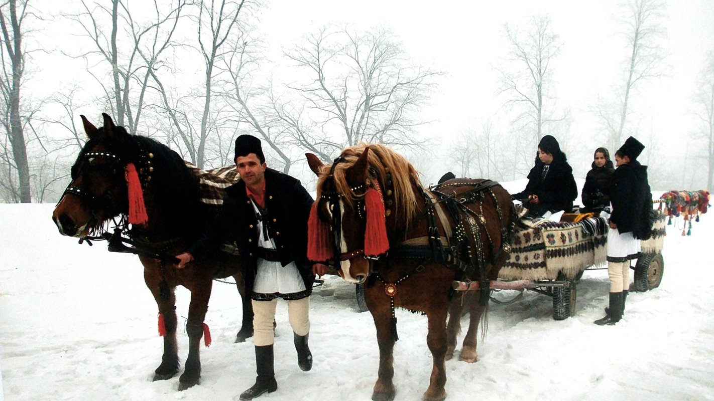 O călătorie fotografică prin Țara Momârlanilor 5431
