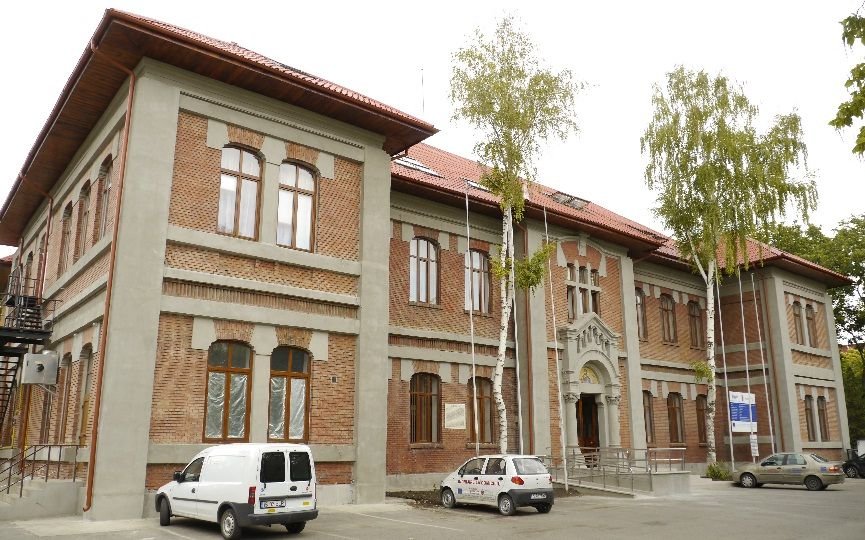 „Olimpiada altfel” la Fundaţia „Solidaritate şi Speranţă” 5369