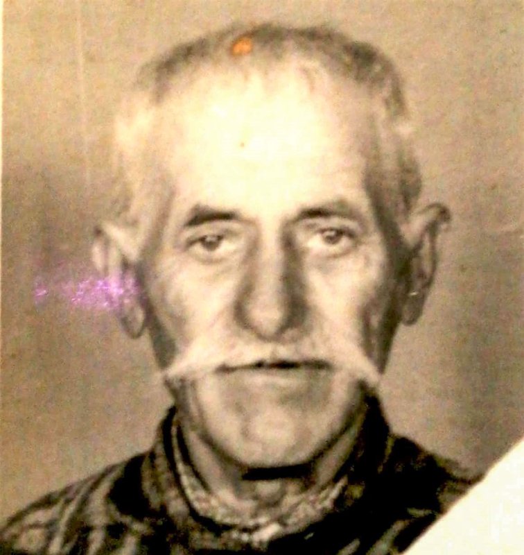 Războaiele lui moș Dumitru Amarie 4846