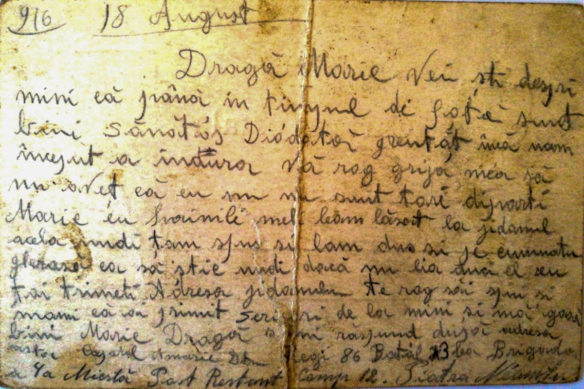 Războaiele lui moș Dumitru Amarie 4865