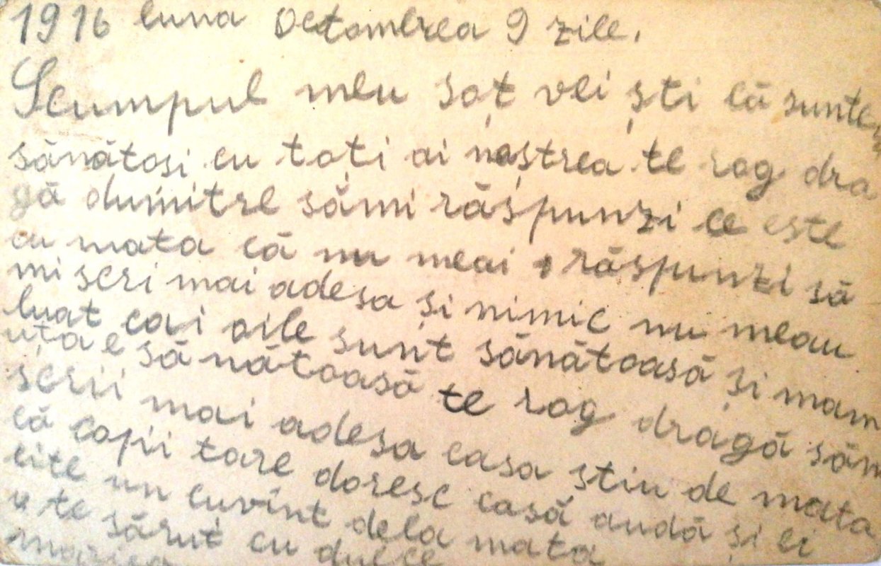 Războaiele lui moș Dumitru Amarie 4866