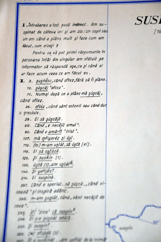 „Orice națiune care se respectă duce o politică de promovare a limbii” 4555