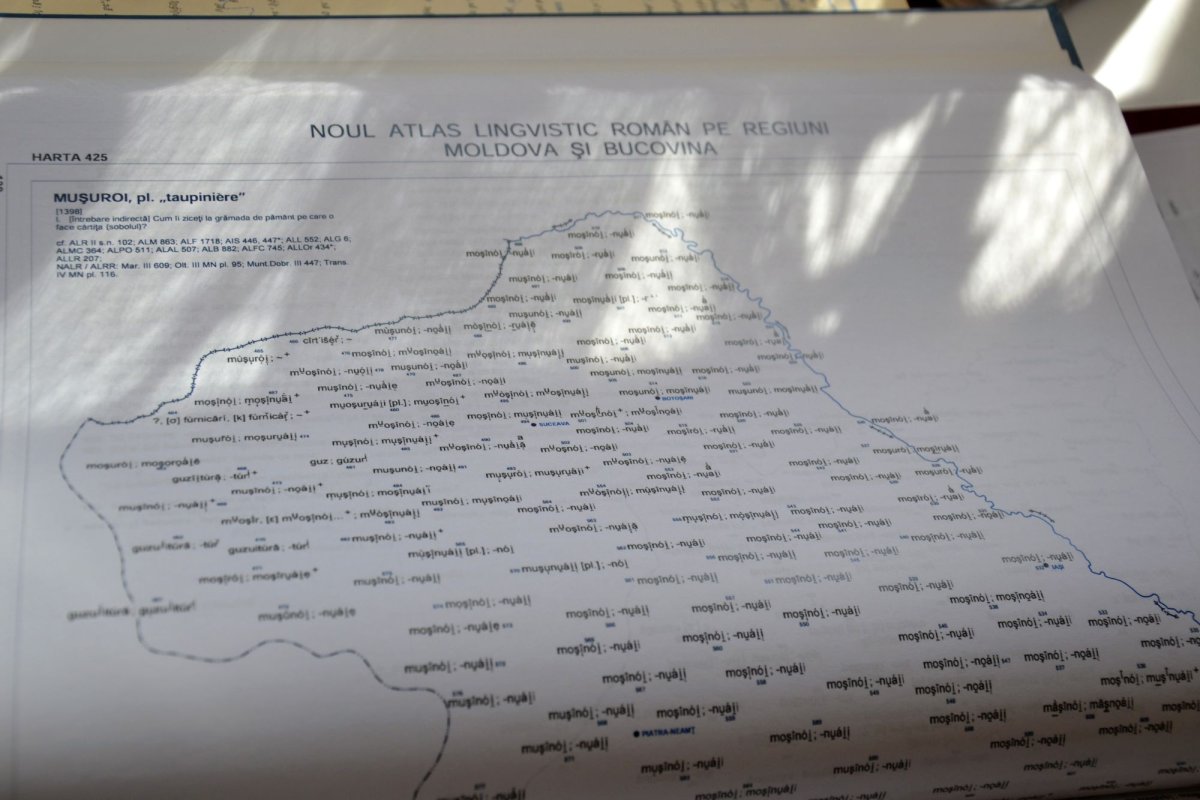 „Orice națiune care se respectă duce o politică de promovare a limbii” 4557