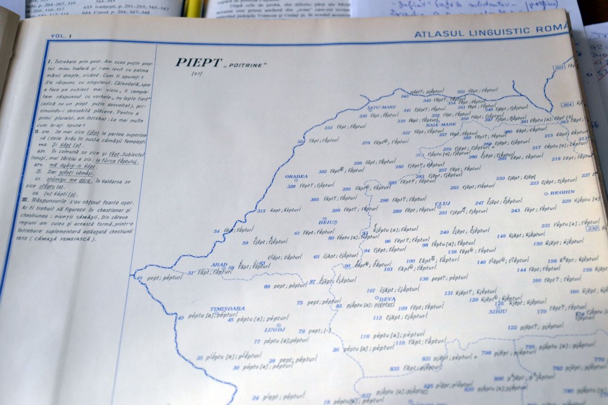 „Orice națiune care se respectă duce o politică de promovare a limbii” 4558
