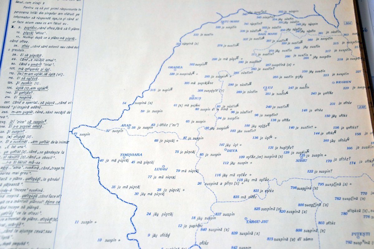 „Orice națiune care se respectă duce o politică de promovare a limbii” 4562