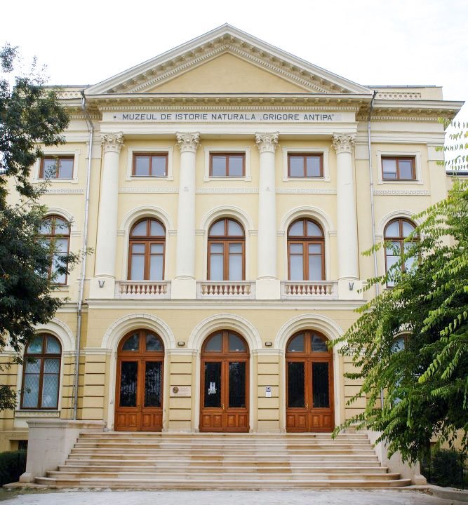 Agenda culturală 11-17 decembrie 2018 4459