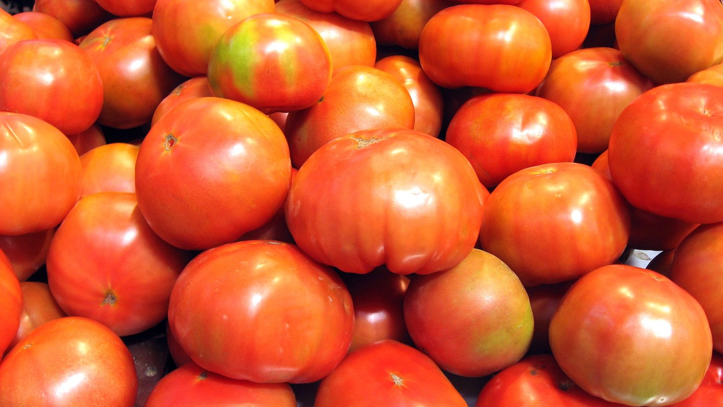 Fonduri suplimentare pentru agricultori 4460