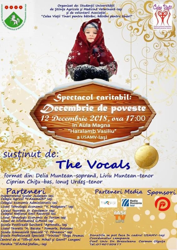 Spectacolul umanitar „Decembrie de poveste” 4222