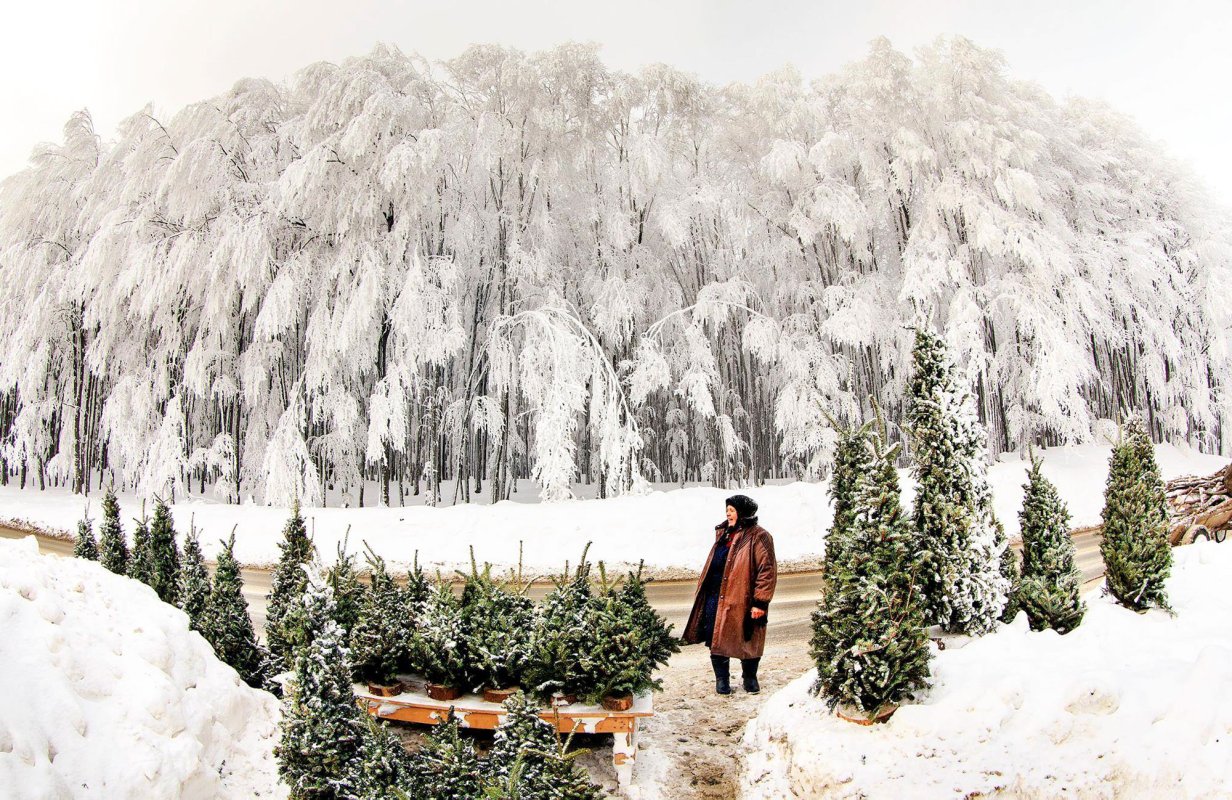 Anul care vine - un nou început bun 4208