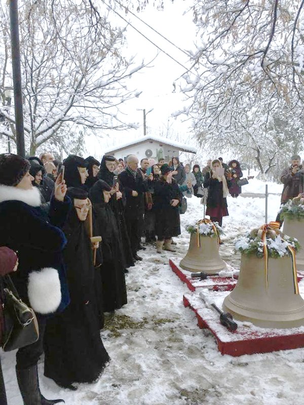 Duminica Sfinților Strămoși în Mitropolia Banatului 3966