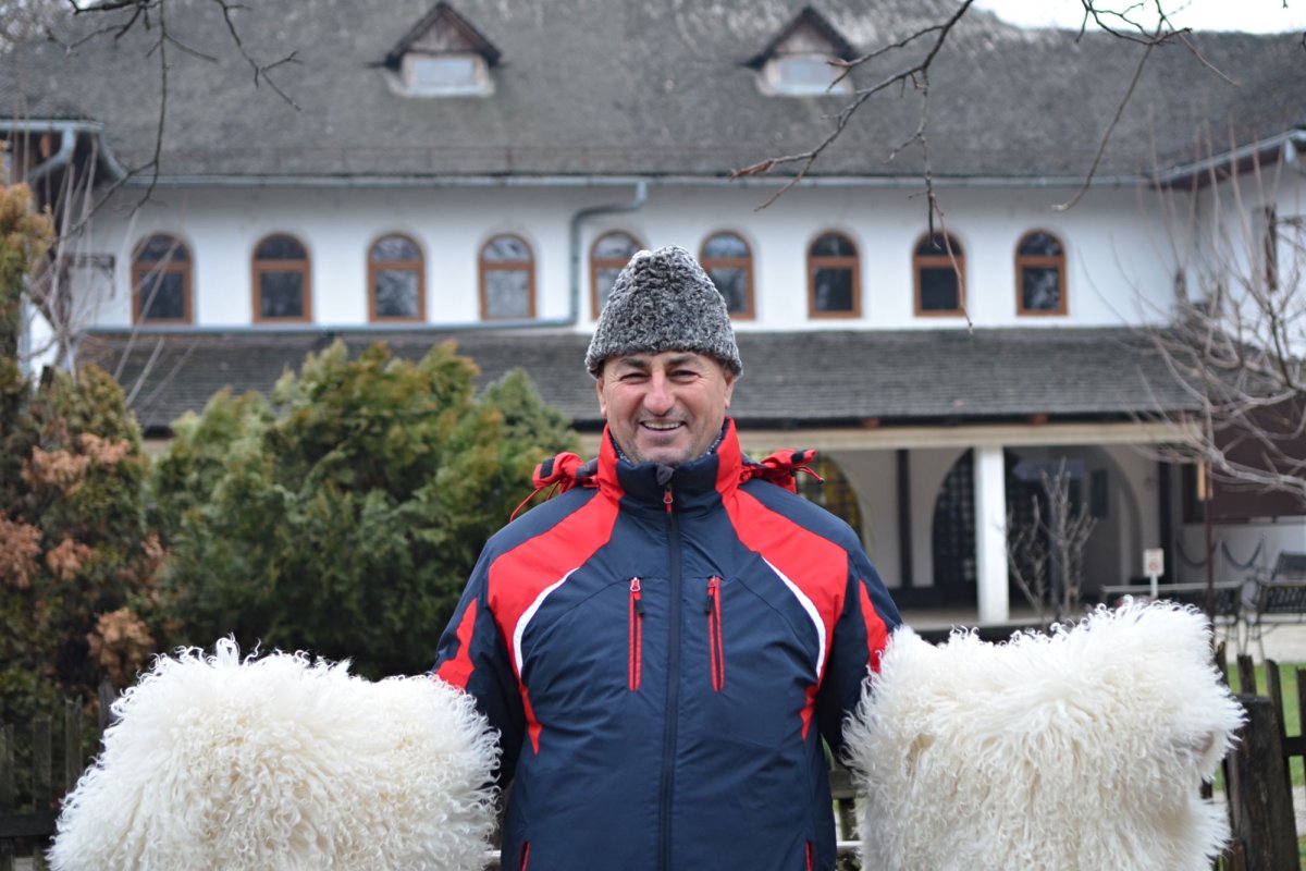 Bucuria de a redescoperi simplitatea frumosului 3619