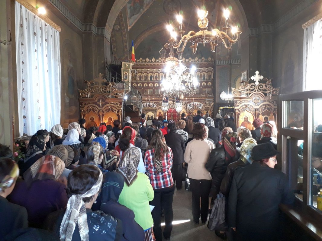 Bucuria de a face fapte bune  3273