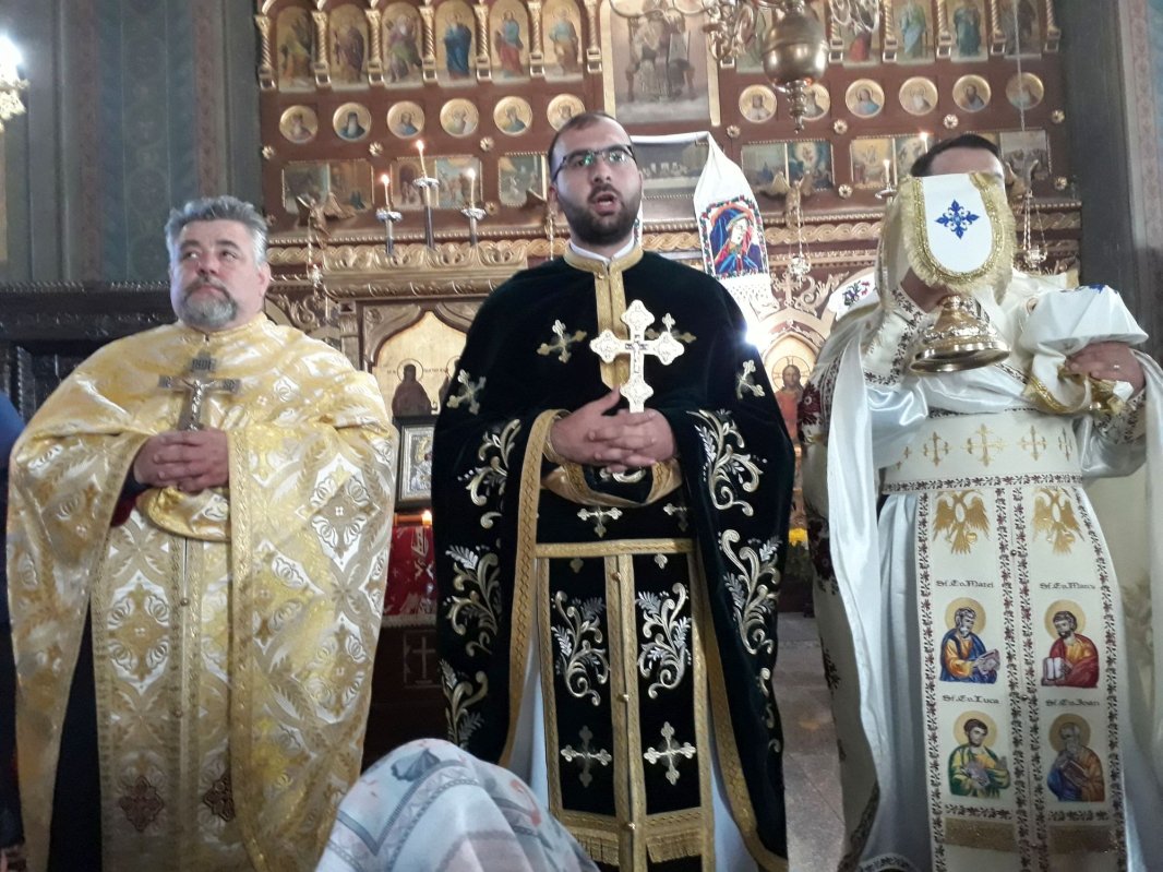 Bucuria de a face fapte bune  3274