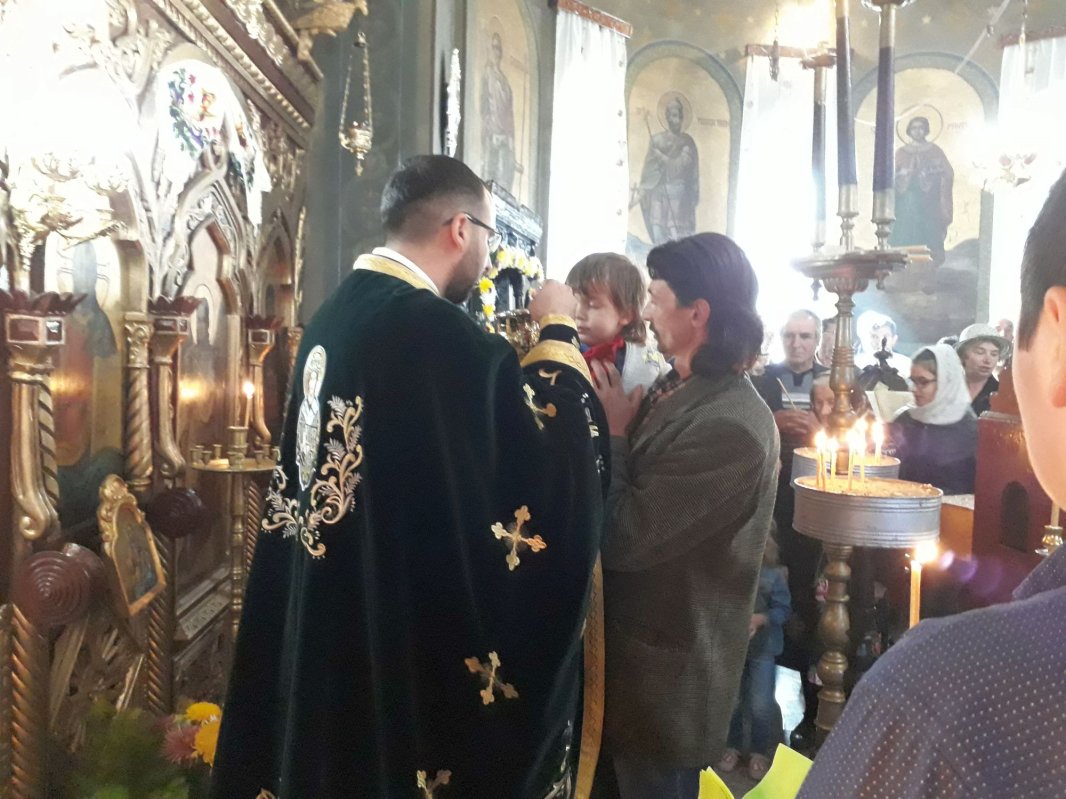 Bucuria de a face fapte bune  3275