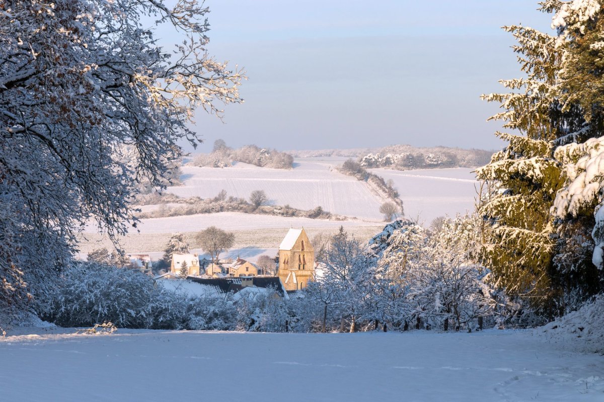 2019 - Anul satului românesc și al patriarhilor Nicodim Munteanu și Iustin Moisescu 3353