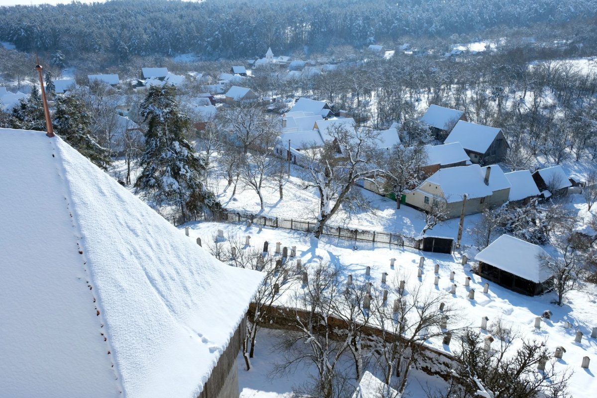 2019 - Anul satului românesc și al patriarhilor Nicodim Munteanu și Iustin Moisescu 3354