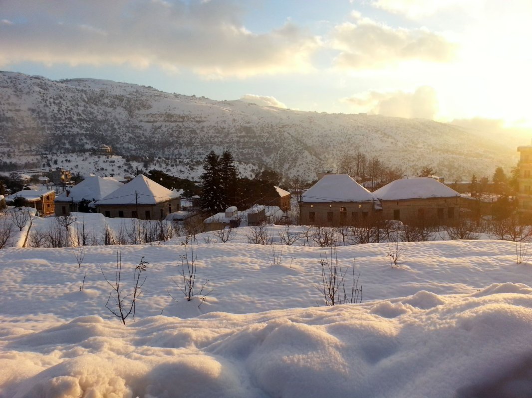 2019 - Anul satului românesc și al patriarhilor Nicodim Munteanu și Iustin Moisescu 3356