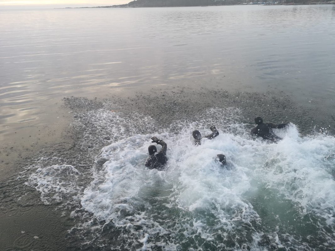 Boboteaza la Marea Nordului 3137