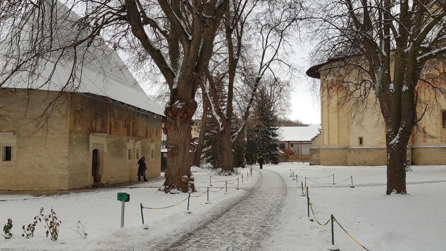 Sfinţirea cea mare a apei în Bucovina 3060