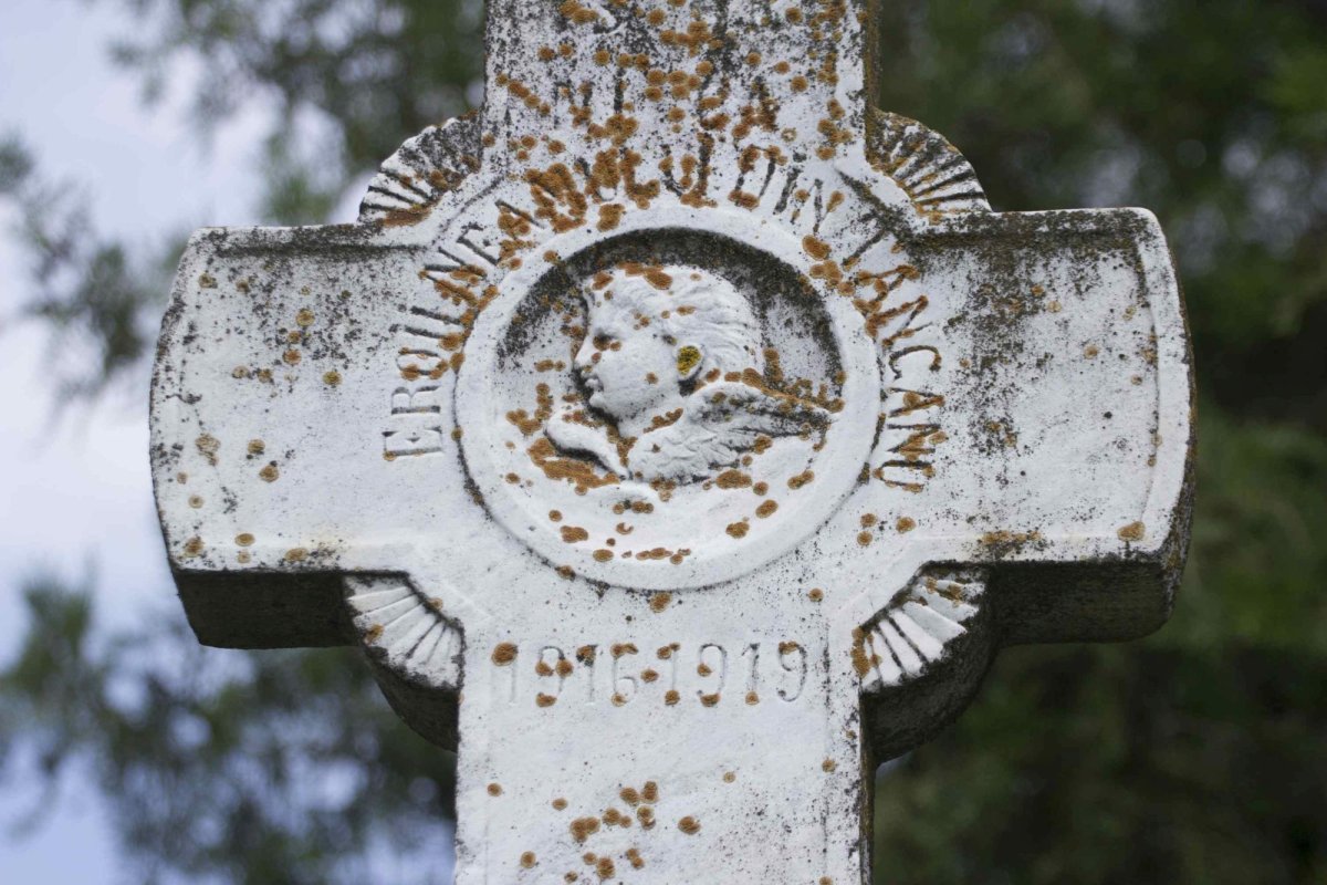 Grijă faţă de nevoiaşi  la Parohia Tânganu 2957