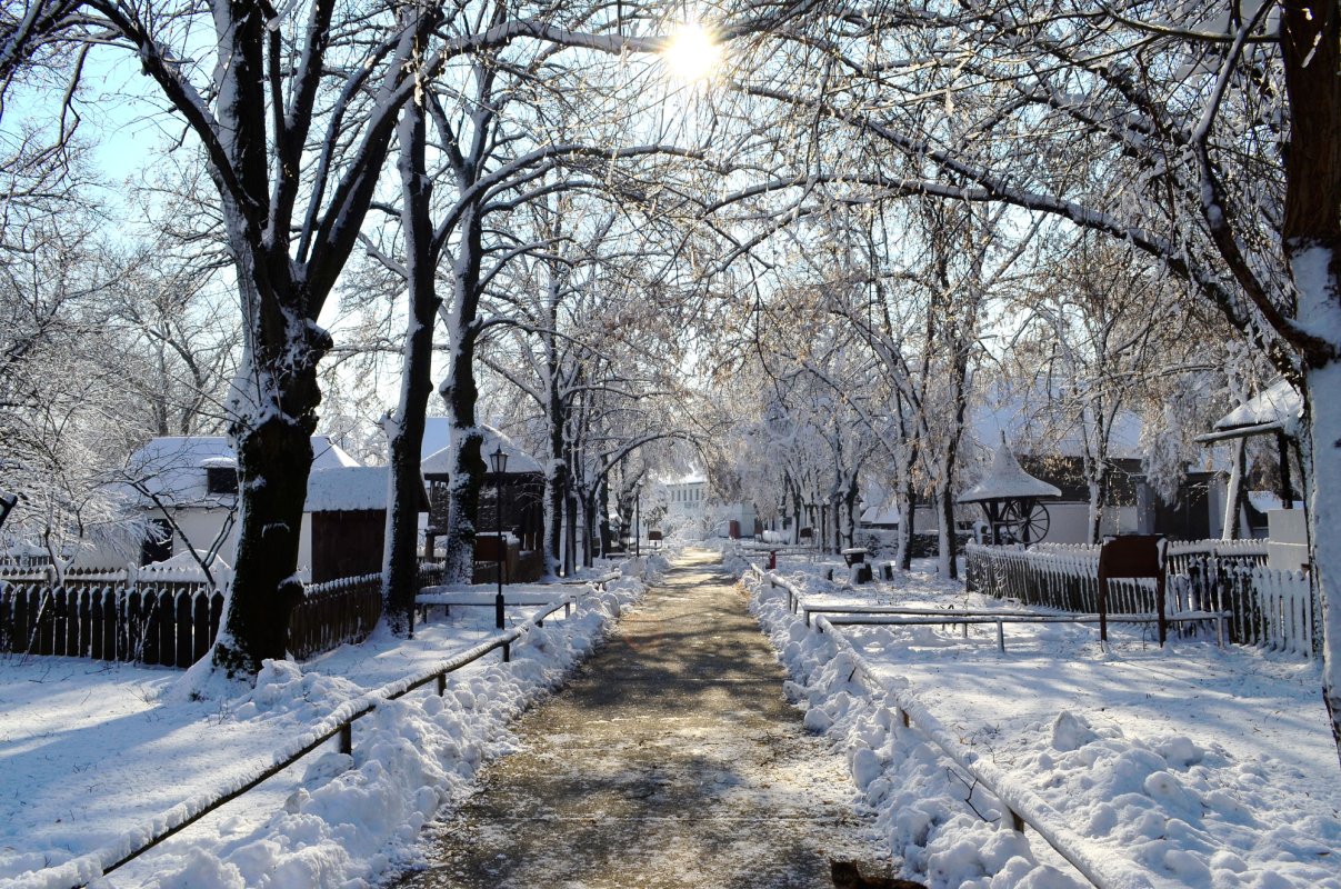 „Satul este cheia înțelegerii identității noastre” 2468