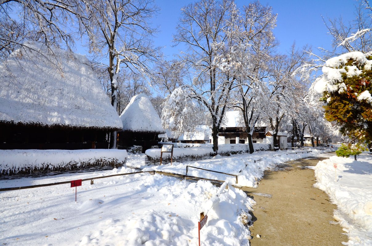 „Satul este cheia înțelegerii identității noastre” 2469