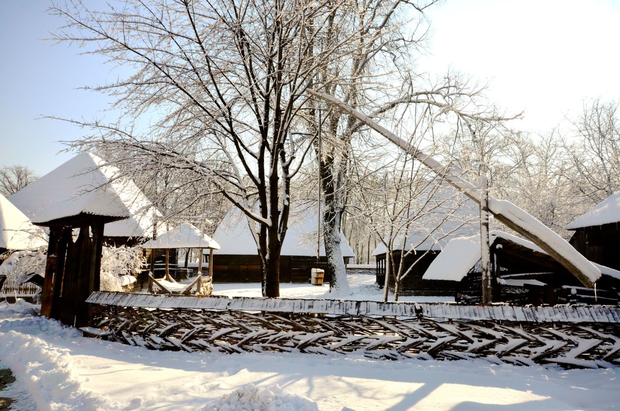 „Satul este cheia înțelegerii identității noastre” 2471