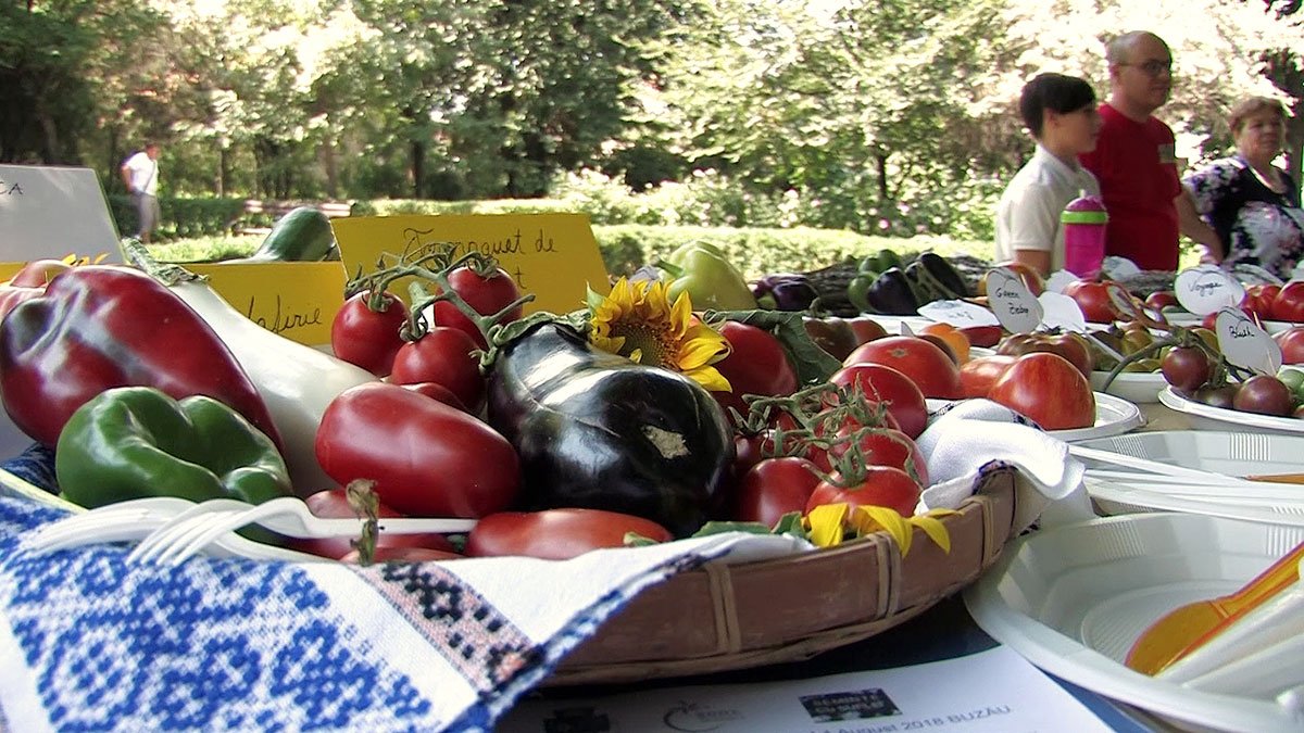 Pieţe de seminţe gratuite în toată ţara 2410