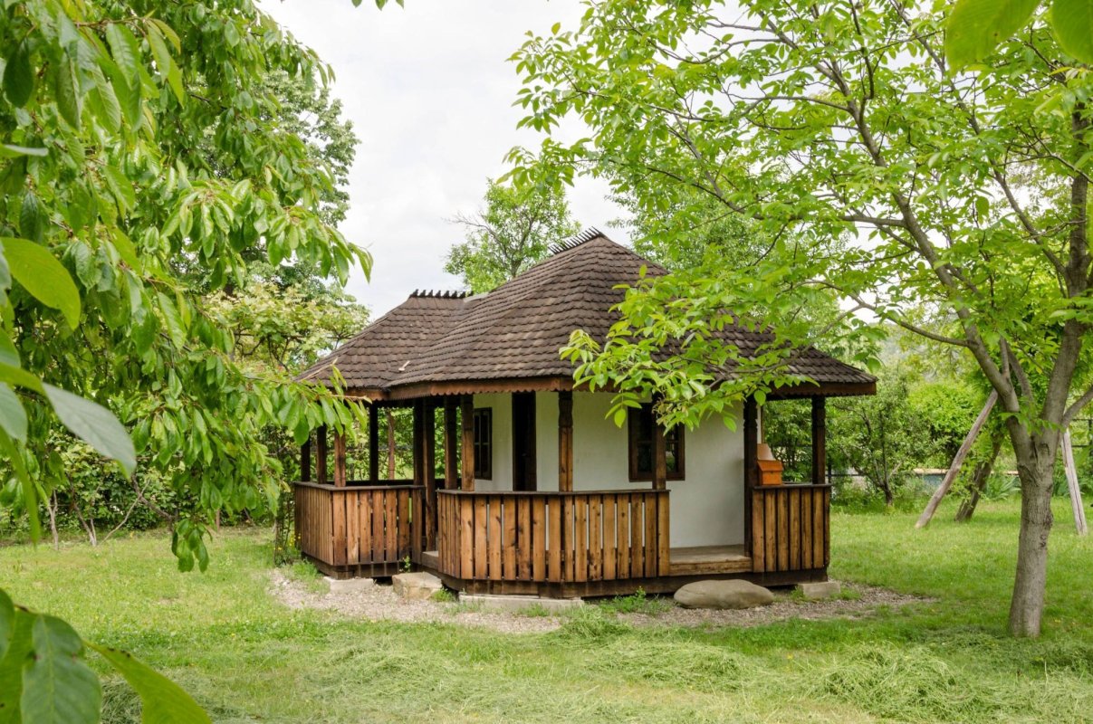 Lumea satului românesc în pagini de literatură 2508