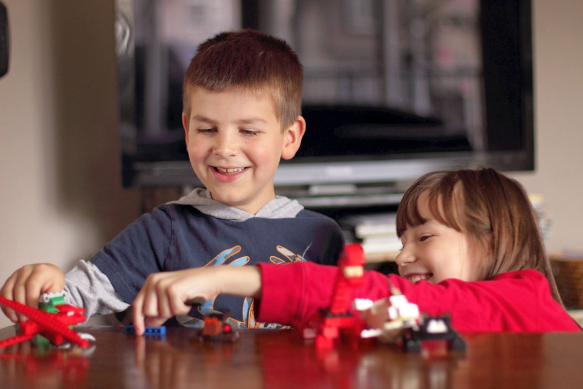 Întocmește-ți propriul plan de creștere a copiilor! 2293